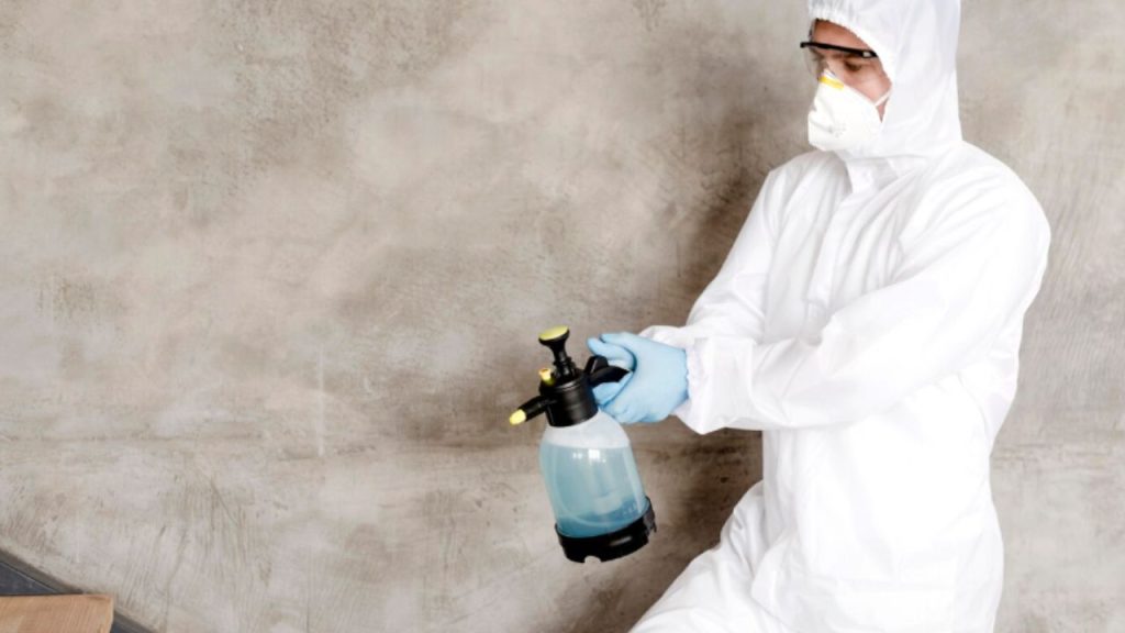 Technician wearing protective gear spraying mold removal solution on a wall during attic mold removal remediation process.