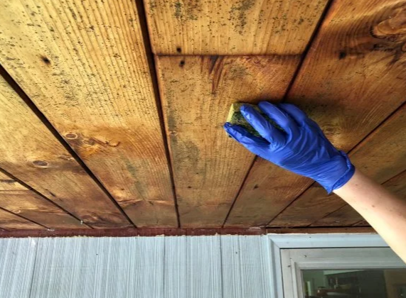 Person cleaning mold from a wooden ceiling with a sponge and gloves