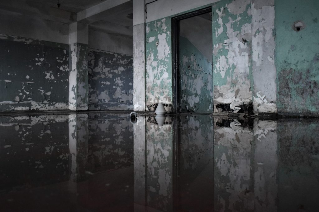 Flood-damaged interior with standing water and peeling walls.
